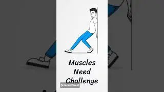 Understanding progressive overload