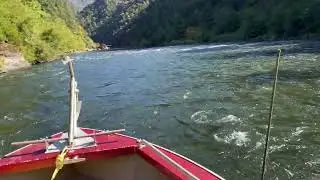 Running up the Rogue River in a jet boat, on skinny water. Oregon.