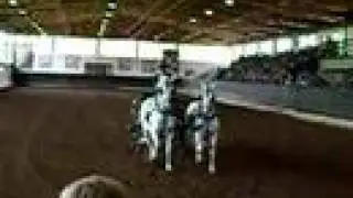Dressage Performance from the Original Lipizzans 7