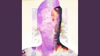 The Androgen