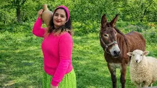 Rural Life In Iran | Cooking Traditional Food In Village