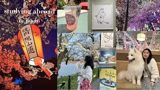 Studying Abroad in Japan: First week! festivals, cherry blossoms, izakaya, parks, animal cafes