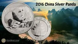2016 China Silver Panda BU Coin