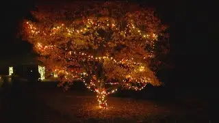 Japanese Stroll Garden Kicks Off Evening Strolls