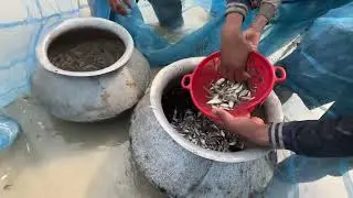Best winter fishing video