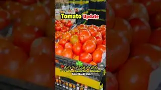 Tomato market auction #tomatoes #tomato #tomata #duet #fruit #edms #food