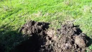 Tractor drives over drainfield, crushing it and failing it