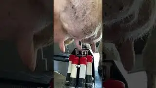 FULLY AUTOMATED MILKING MACHINE
