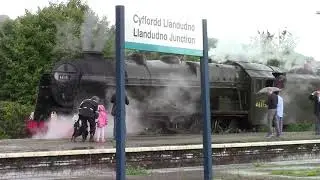 By special  request....STEAM TRAINS!