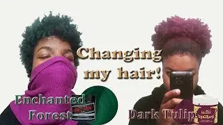 La Riche Directions | Green to Dark Pink Hair Transformation  WITHOUT Bleach!