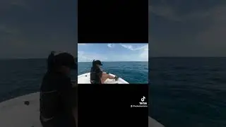 Had fun fighting this Nurse Shark 🎣