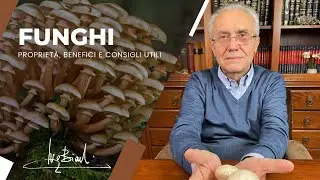 I FUNGHI per una SANA e COMPLETA ALIMENTAZIONE