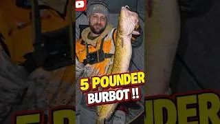 5 pound burbot took my minnow!!!😳🎣 #fishing #angler #burbot #icefishing #tightlines #bigfish #canada