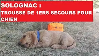 TROUSSE DE 1ERS SECOURS POUR CHIEN DE CHEZ SOLOGNAC 🇫🇷 2’JEAN’S 🇫🇷