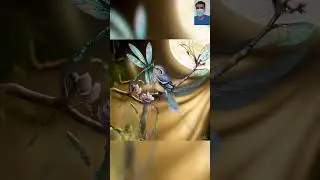 Drogonfly and  Nightingale #imagination and nature #fantasy creatures #hybrid #strange animals