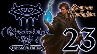 Neverwinter Nights Enhanced Edition   Прохождение #23 (Высокий Лес) Максимальная сложность