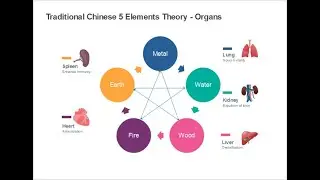 Five Element Qigong Meditation