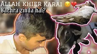 AKHIR IS BACHRAI KO HUA KYA HAI ? 💔😔 | MANDI VLOGS 2023 | (Amaan Vlogs).