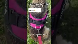 Your Dog Keeps Pulling? This Harness FIXED It Instantly 🦮🚫