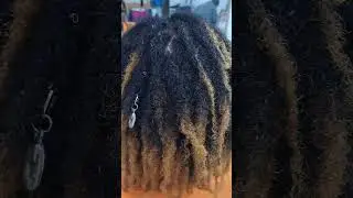Distressed Locs on Natural Hair 😍 Soft, Fluffy & Real Look#locs #naturallover#protectivestyle #locs
