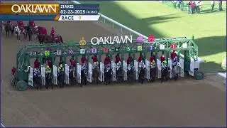 Oaklawn Park Feb 23, 2025 The 38th Running of Honeybee Stakes