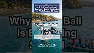 North Bali Is A Surprisingly Interesting Tourist Destination As Whale Spotted Off Coast