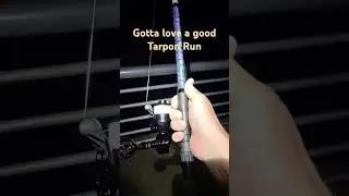 Tarpon at night :) #fishing #tarpon #fish #fyp #oddlysatisfying