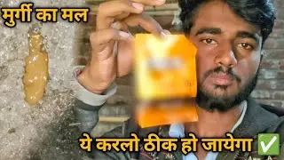 मुर्गियों का Brown Poop/मल 💩 कैसे ठीक करे 