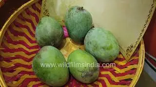 Awadh Agritech Malihabad stall at the Mango Festival held at Thyagaraj Stadium, New Delhi,