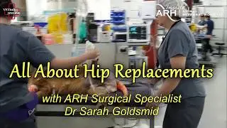 All About Hip Replacements - Dr Sarah Goldsmid