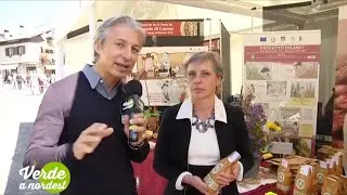 Servizio Fagiolo di Lamon   Festa  P1247