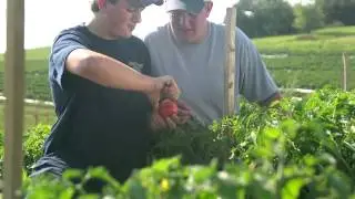 Ingles Local Produce - Pierce Farms