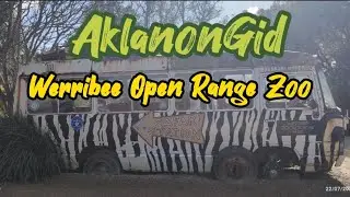 Journey Into the Untamed Beauty of Werribee Open Range Zoo