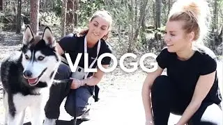 vlogg: EN DAG PÅ HUNDSTALLET