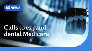 Government urged to add dental to Medicare as waiting lists extend | ABC NEWS