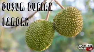 Dusun Durian Landak [RoadTo]