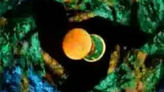 Visions Of Shiva - How Much Can You Take