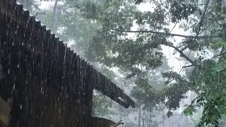 Best Heavy Rain Sounds Ever 🌧️ Super Heavy Rain for Deep Sleep, Insomnia Relief, Relax