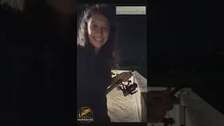 Night Fishing Adventure | Big Catch on Hook #catchoftheday #fishing #fish #fishing 