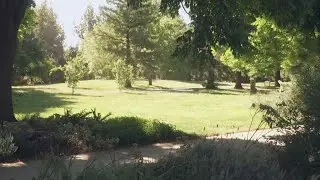 UC Davis creates Nature Rx program for mental health