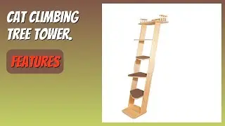 REVIEW (2025): Cat Climbing Tree Tower. Features