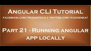 Running angular app locally