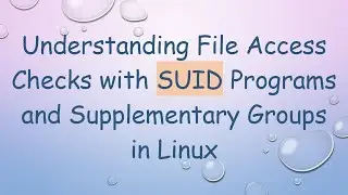 Understanding File Access Checks with SUID Programs and Supplementary Groups in Linux