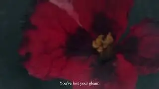 Siren Lake - Neverglow (LYRIC VIDEO)