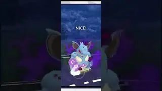 Shadow Nidoqueen is the Best Closer of Great League?