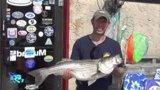 7 11 14 Bill Smith 15 Pound 4 Ounce Bass