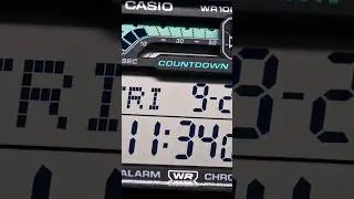 Casio WS-1600H-8AV Dual Stopwatch Beast! 100m Water Resistant