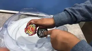 Revive Phoenix VS Twin Nemisis