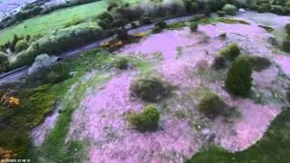 Robertsons Park, Paisley Glennifer Braes