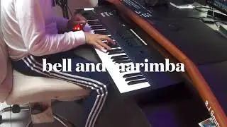 how too make tropical pop type beat only whit SERUM